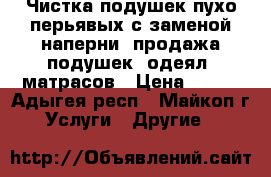Чистка подушек пухо-перьявых с заменой наперни, продажа подушек, одеял, матрасов › Цена ­ 100 - Адыгея респ., Майкоп г. Услуги » Другие   